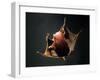 Vampire Squid Going into Opineappleo Defense Posture-null-Framed Premium Photographic Print