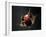 Vampire Squid Going into Opineappleo Defense Posture-null-Framed Photographic Print