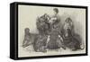 Van Amburgh at Vauxhall Gardens-null-Framed Stretched Canvas