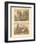 Van Diemen's Countries-null-Framed Giclee Print