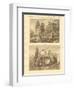 Van Diemen's Countries-null-Framed Giclee Print