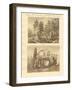 Van Diemen's Countries-null-Framed Giclee Print