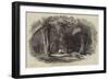 Van Diemen's Land, Fern-Tree Valley, Mount Wellington-null-Framed Giclee Print