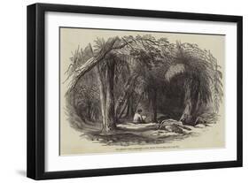 Van Diemen's Land, Fern-Tree Valley, Mount Wellington-null-Framed Giclee Print