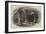 Van Diemen's Land, Fern-Tree Valley, Mount Wellington-null-Framed Giclee Print