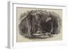 Van Diemen's Land, Fern-Tree Valley, Mount Wellington-null-Framed Giclee Print