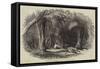 Van Diemen's Land, Fern-Tree Valley, Mount Wellington-null-Framed Stretched Canvas