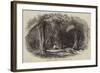 Van Diemen's Land, Fern-Tree Valley, Mount Wellington-null-Framed Giclee Print