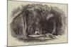 Van Diemen's Land, Fern-Tree Valley, Mount Wellington-null-Mounted Giclee Print