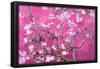 Van Gogh Almond Branches Pink Art Print Poster-null-Framed Poster