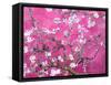 Van Gogh Almond Branches Pink Art Print Poster-null-Framed Stretched Canvas