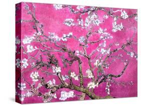 Van Gogh Almond Branches Pink Art Print Poster-null-Stretched Canvas