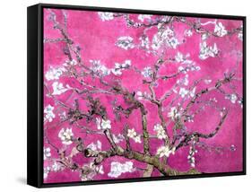 Van Gogh Almond Branches Pink Art Print Poster-null-Framed Stretched Canvas