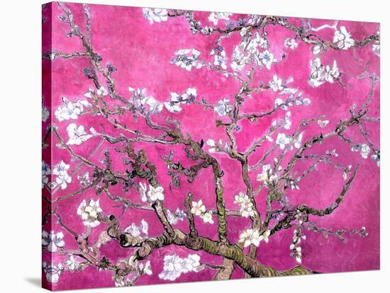 Van Gogh Almond Branches Pink Art Print Poster-null-Stretched Canvas