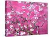 Van Gogh Almond Branches Pink Art Print Poster-null-Stretched Canvas
