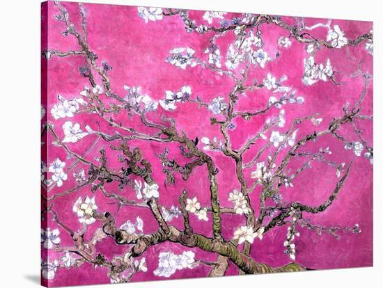 Van Gogh Almond Branches Pink Art Print Poster-null-Stretched Canvas