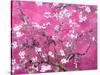 Van Gogh Almond Branches Pink Art Print Poster-null-Stretched Canvas