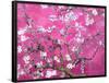 Van Gogh Almond Branches Pink Art Print Poster-null-Framed Poster