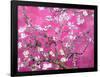 Van Gogh Almond Branches Pink Art Print Poster-null-Framed Poster