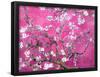 Van Gogh Almond Branches Pink Art Print Poster-null-Framed Poster