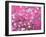 Van Gogh Almond Branches Pink Art Print Poster-null-Framed Art Print