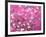 Van Gogh Almond Branches Pink Art Print Poster-null-Framed Art Print