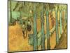 Van Gogh: Alyscamps, 1888-Vincent van Gogh-Mounted Giclee Print