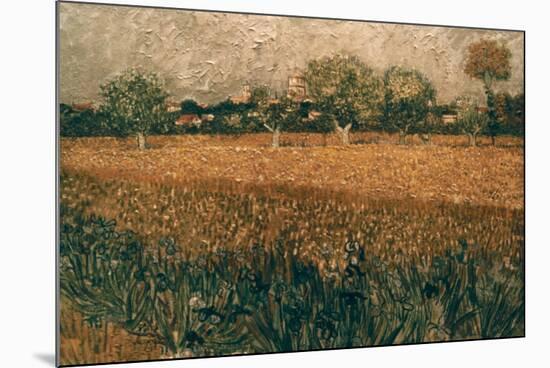 Van Gogh: Arles, 1888-Vincent van Gogh-Mounted Premium Giclee Print
