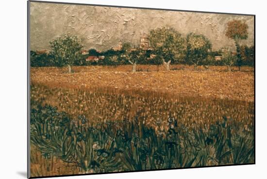 Van Gogh: Arles, 1888-Vincent van Gogh-Mounted Giclee Print