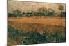 Van Gogh: Arles, 1888-Vincent van Gogh-Mounted Giclee Print
