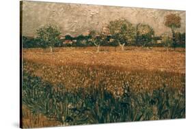 Van Gogh: Arles, 1888-Vincent van Gogh-Stretched Canvas