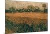 Van Gogh: Arles, 1888-Vincent van Gogh-Mounted Giclee Print