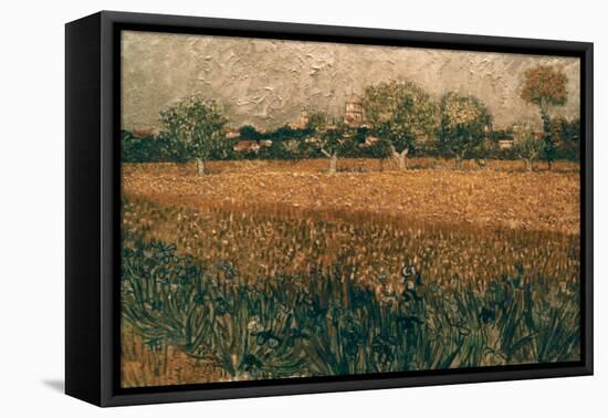 Van Gogh: Arles, 1888-Vincent van Gogh-Framed Stretched Canvas