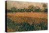 Van Gogh: Arles, 1888-Vincent van Gogh-Stretched Canvas