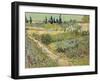 Van Gogh, Bluhender Garten-null-Framed Giclee Print