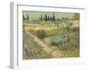 Van Gogh, Bluhender Garten-null-Framed Giclee Print