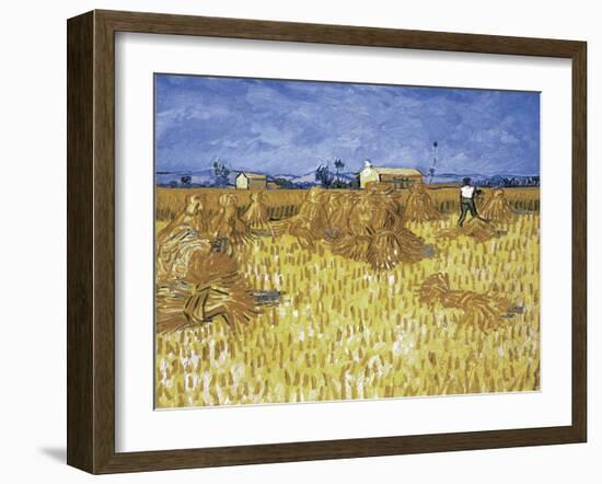 Van Gogh, Cornfield in Provence-null-Framed Giclee Print