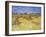 Van Gogh, Cornfield in Provence-null-Framed Giclee Print