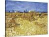 Van Gogh, Cornfield in Provence-null-Stretched Canvas