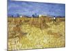 Van Gogh, Cornfield in Provence-null-Mounted Giclee Print