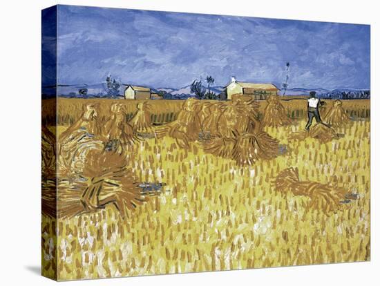 Van Gogh, Cornfield in Provence-null-Stretched Canvas