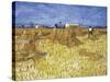 Van Gogh, Cornfield in Provence-null-Stretched Canvas