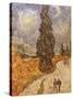 Van Gogh: Cypresses, 1889-Vincent van Gogh-Stretched Canvas