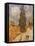 Van Gogh: Cypresses, 1889-Vincent van Gogh-Framed Stretched Canvas