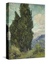 Van Gogh, Cypresses-null-Stretched Canvas