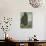 Van Gogh, Cypresses-null-Giclee Print displayed on a wall