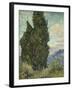 Van Gogh, Cypresses-null-Framed Giclee Print