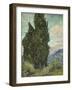 Van Gogh, Cypresses-null-Framed Premium Giclee Print