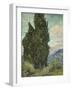 Van Gogh, Cypresses-null-Framed Premium Giclee Print