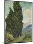 Van Gogh, Cypresses-null-Mounted Premium Giclee Print